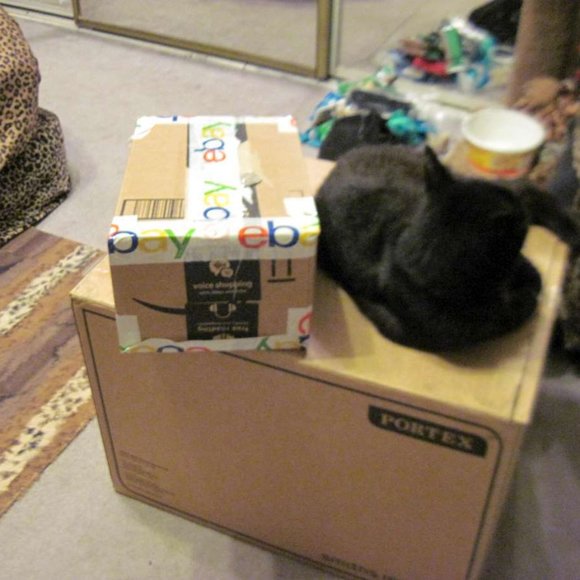 * Welcome to my Closet. Please Read! *  ~ Meet your Posher, Gina - Picture 14 of 16